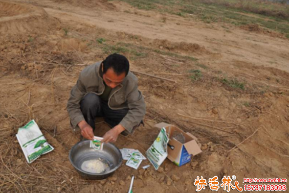 快活林針葉生根粉使用