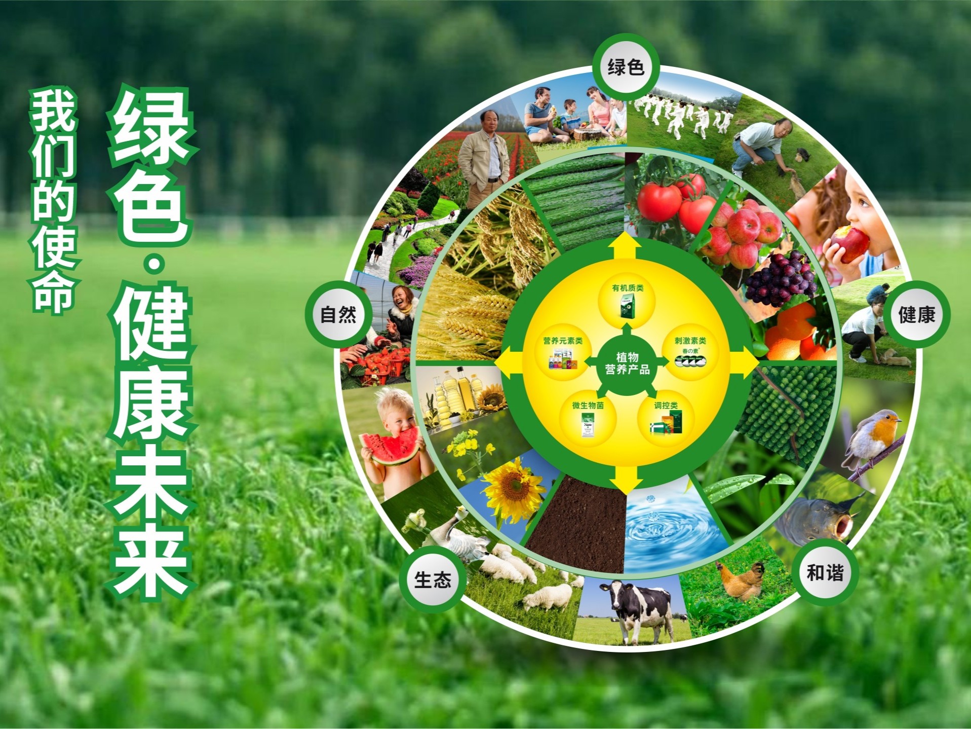 【產品之道】走植物營養(yǎng)精品之路