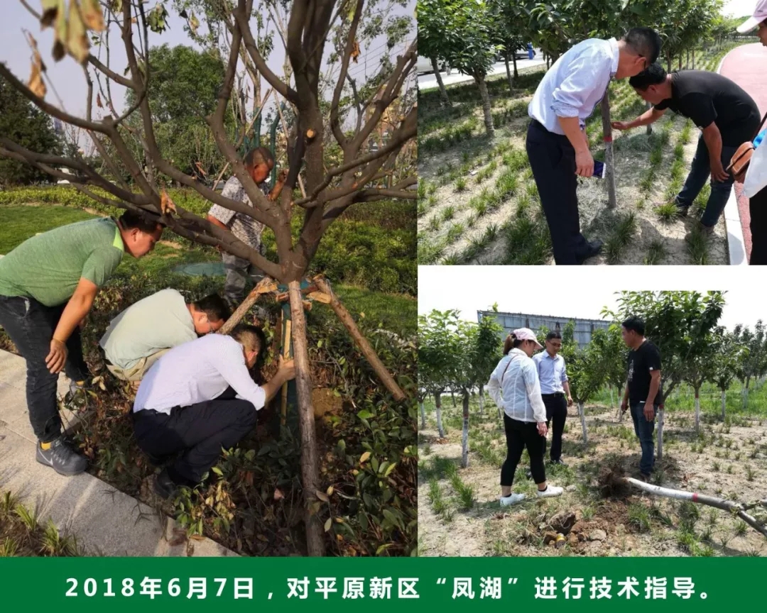 中威春雨植物營養(yǎng)專家400-779-1088