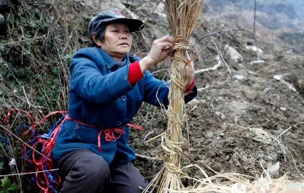 中威,中威春雨,核桃秋冬養(yǎng)護,快活林涂白劑，快活林防凍劑