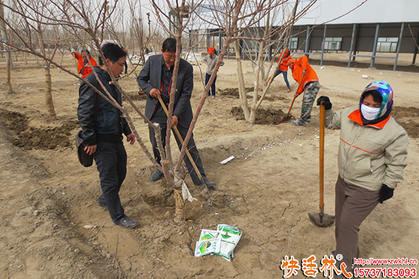 快活林復(fù)生靈預(yù)防根腐