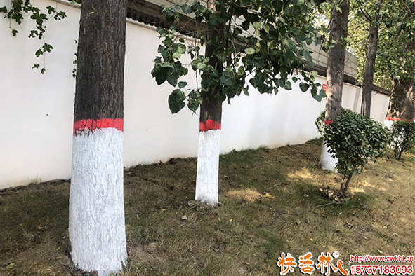 快活林涂白劑使用效果