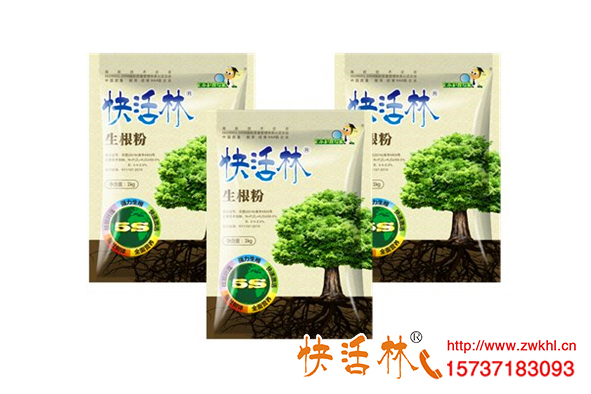 生根粉是什么對(duì)植物有害嗎，草莓壯苗為什么要用生根劑