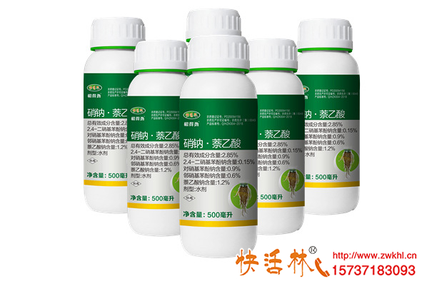 草莓移栽定根恢復(fù)澆快活林植物生根濟(jì)根得勁恢復(fù)快抗病防爛根